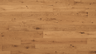 Forli Engineered Hardwood by HF Design LLC