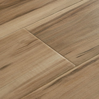 Gala - Vine spc by Mannington