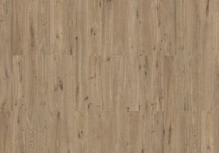 Ginger Wood Fume Engineered Hardwood by Amorim Wise