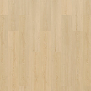 Grand Prix spc by Pacific Direct Industries