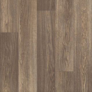 GREAT BASIN II - Sagewood Vinyl by Shaw Floors