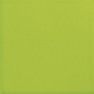 Green Apple Rectangle Tile & Stone by American Olean