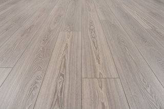 Grey Feather spc by Provenza