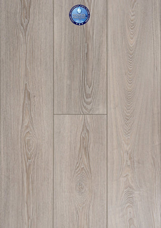 Grey Feather spc by Provenza