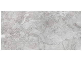Grigio 12x24 Matte Tile & Stone by Anatolia Tile