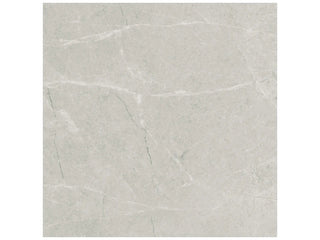 Grigio 20x20 Tile & Stone by Anatolia Tile