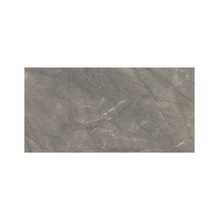 GRIS NATURALLE 12X24 POLISHED Tile & Stone by Anthology Tile