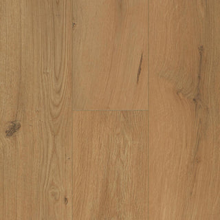 Gyant Warm Natural