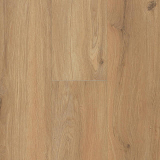 Gyant Xl Warm Natural
