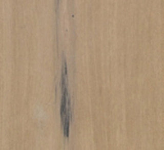 Hampton Engineered Hardwood by Eagle Creek Floors