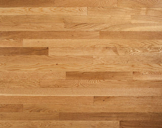 Hampton Honey 2 1/4" Hardwood by Impressions Flooring