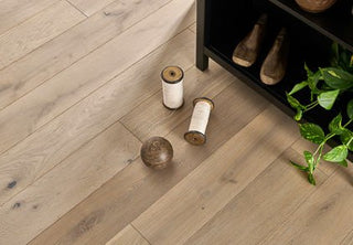 Harlech Feather Oak Engineered Hardwood by Wood Pecker Flooring