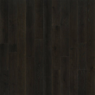 Honest Oak Engineered Hardwood by Hallmark Floors