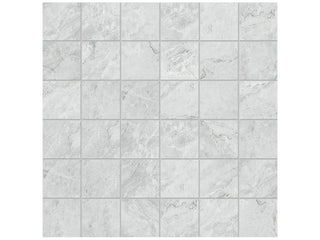 Ice 2x2 Tile & Stone by Anatolia Tile