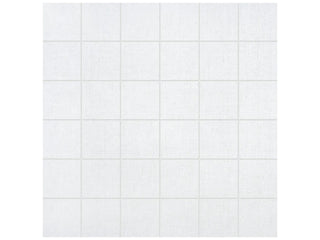 Ice 2x2 Tile & Stone by Anatolia Tile