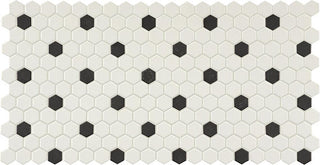Ice White/Black Penny Rounds Tile & Stone by American Olean