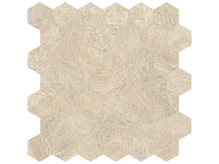 Impero Reale Hexagon 2" Honed Tile & Stone by Anatolia Tile