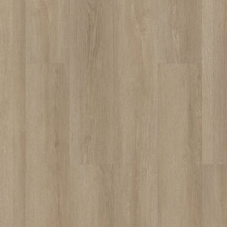 INFINITE SPC - Barley Field spc by Shaw Floors