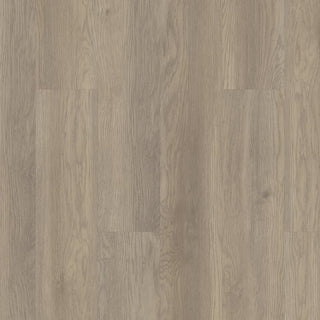 INFINITE SPC - Salt River spc by Shaw Floors