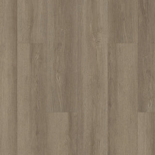 INFINITE SPC - Vista spc by Shaw Floors