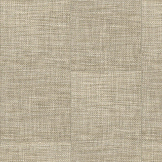 Interwoven in Cappuccino Vinyl by Raskin Industries