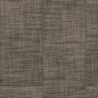 Interwoven in Mocha Vinyl by Raskin Industries