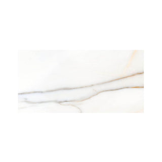ITALIA ORO 12X24 MATTE Tile & Stone by Anthology Tile