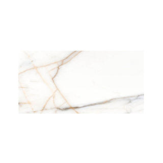 ITALIA ORO 12X24 POLISHED Tile & Stone by Anthology Tile