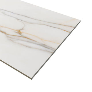 ITALIA ORO 24X48 MATTE Tile & Stone by Anthology Tile