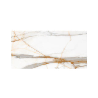 ITALIA ORO 24X48 POLISHED Tile & Stone by Anthology Tile