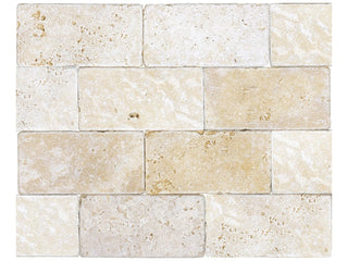 Ivory 3x6 Tumbled Tile & Stone by Anatolia Tile