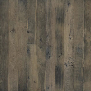 Lake & Shore in Galilee Engineered Hardwood by Paradiso