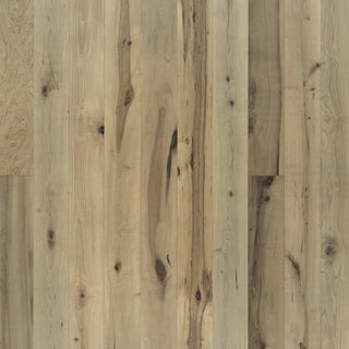 Lake & Shore in Oslo Engineered Hardwood by Paradiso