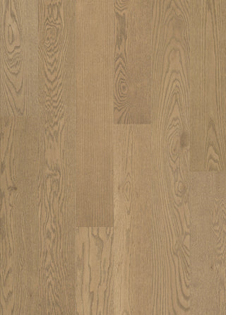 Latte Engineered Hardwood by Dukes Group