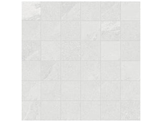 Lithium 2x2 Tile & Stone by Anatolia Tile