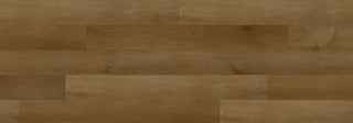 Magma Bordeaux spc by Republic