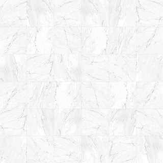 Marbles Matte Mosaic - Carrara White Tile & Stone by Stanton