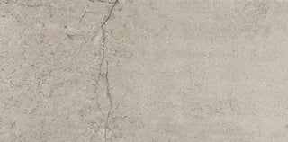Metamorphic Rectangle Tile & Stone by American Olean