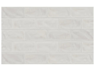 Mist 3x6 Glossy Tile & Stone by Anatolia Tile