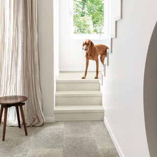Misty grey oak Waterproof Laminate by Quickstep