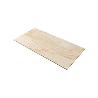 MISTY SILK 24X48 MATTE Tile & Stone by Anthology Tile