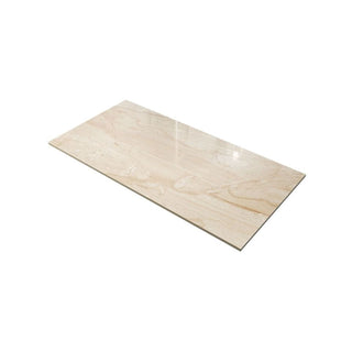 MISTY SILK 24X48 POLISHED Tile & Stone by Anthology Tile
