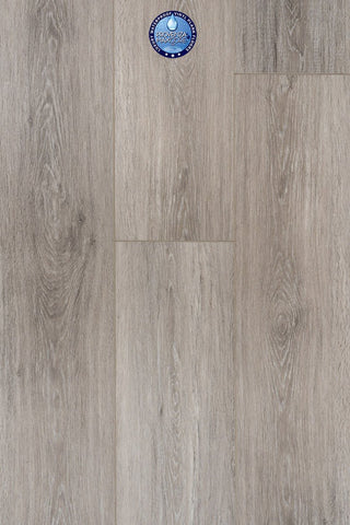 Moderne Icon Vinyl by Provenza
