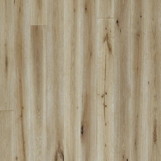 Montesilvano in Rimini Engineered Hardwood by Paradiso