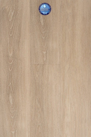 Moonstruck Vinyl by Provenza