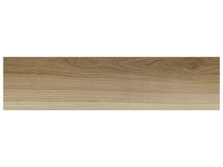 Natural 6x24 Tile & Stone by Anatolia Tile
