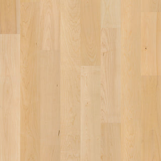 NATURAL CLASSICS HARD MAPLE 5" - Natural Hard Maple Engineered Hardwood by Shaw Floors