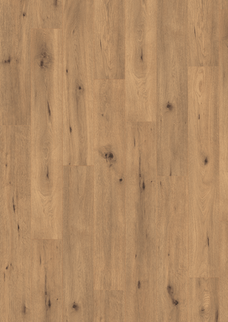 Natural Wild Oak Laminate by Egger