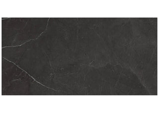 Nero Venato 12x24 Polished Tile & Stone by Anatolia Tile