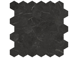 Nero Venato 2" Hexagon Polished Tile & Stone by Anatolia Tile